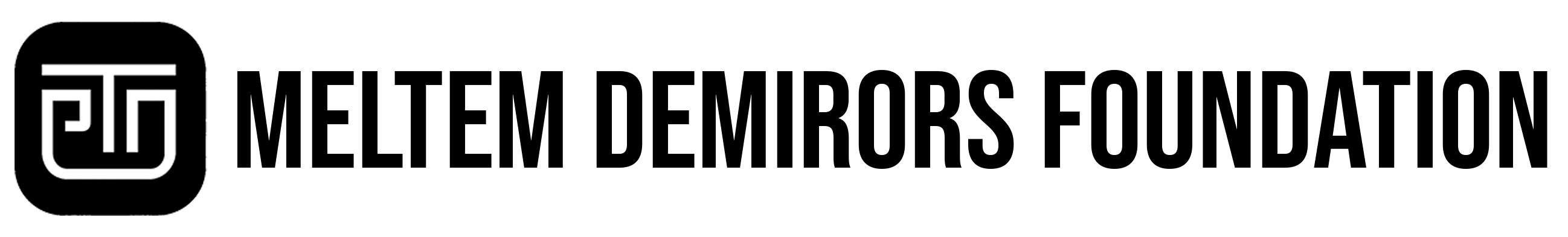 Meltem Demirors Foundation